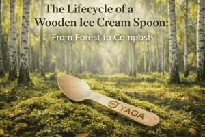 The Sustainable Lifecycle of Birch Wood Ice Cream Spoons