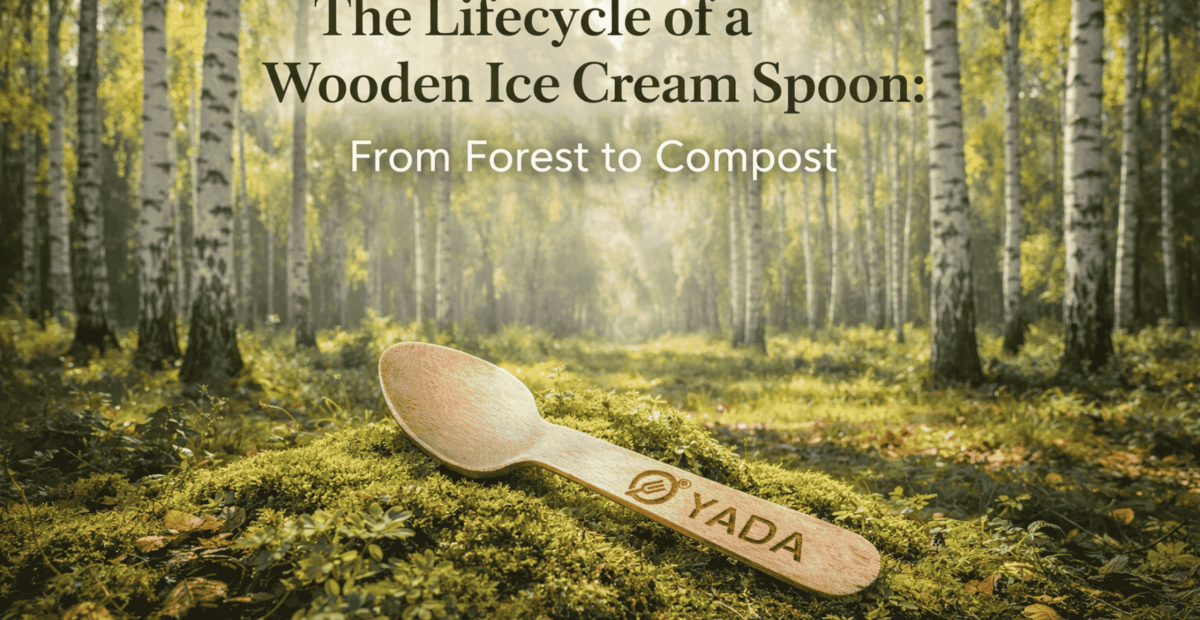 The Sustainable Lifecycle of Birch Wood Ice Cream Spoons