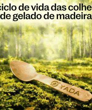 O Ciclo de Vida das Colheres de Madeira para Sorvete: Da Floresta à Compostagem