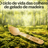 O Ciclo de Vida das Colheres de Madeira para Sorvete: Da Floresta à Compostagem