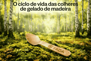O Ciclo de Vida das Colheres de Madeira para Sorvete: Da Floresta à Compostagem