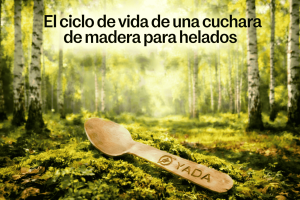 El Ciclo de Vida de las Cucharas de Madera para Helado: Del Bosque al Compost