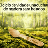 El Ciclo de Vida de las Cucharas de Madera para Helado: Del Bosque al Compost