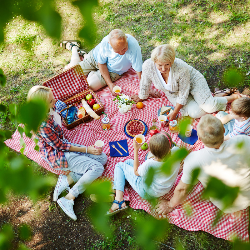 Qingming Outing: Embracing Nature and Tradition with an Eco-Friendly Picnic