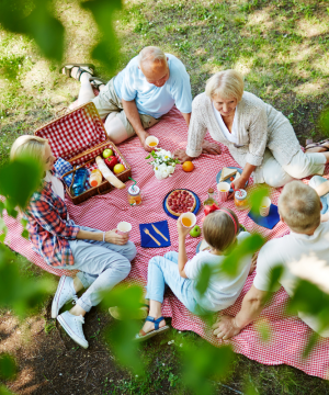Qingming Outing: Embracing Nature and Tradition with an Eco-Friendly Picnic