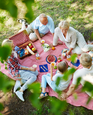 Qingming: Un Viaje a la Naturaleza, la Tradición y el Alma