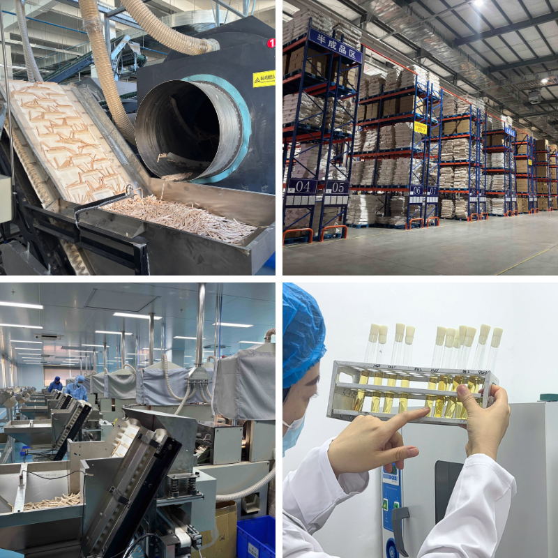 Producción, almacenamiento y análisis biológico de YADA Industrial