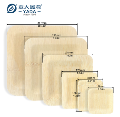 Disposable eco-friendly bamboo plates in various sizes