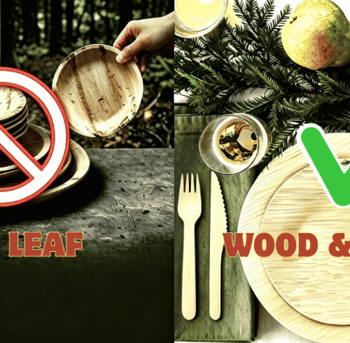 Industry Insight: Deep Dive into FDA's Palm Leaf Dinnerware Ban and Sustainable Alternatives