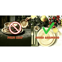 Industry Insight: Deep Dive into FDA's Palm Leaf Dinnerware Ban and Sustainable Alternatives