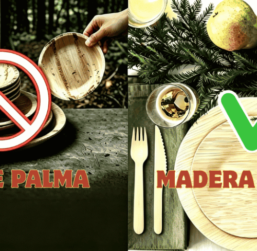 Perspectiva de la Industria: Análisis Profundo de la Prohibición de Vajillas de Hoja de Palma por la FDA y Alternativas Sostenibles