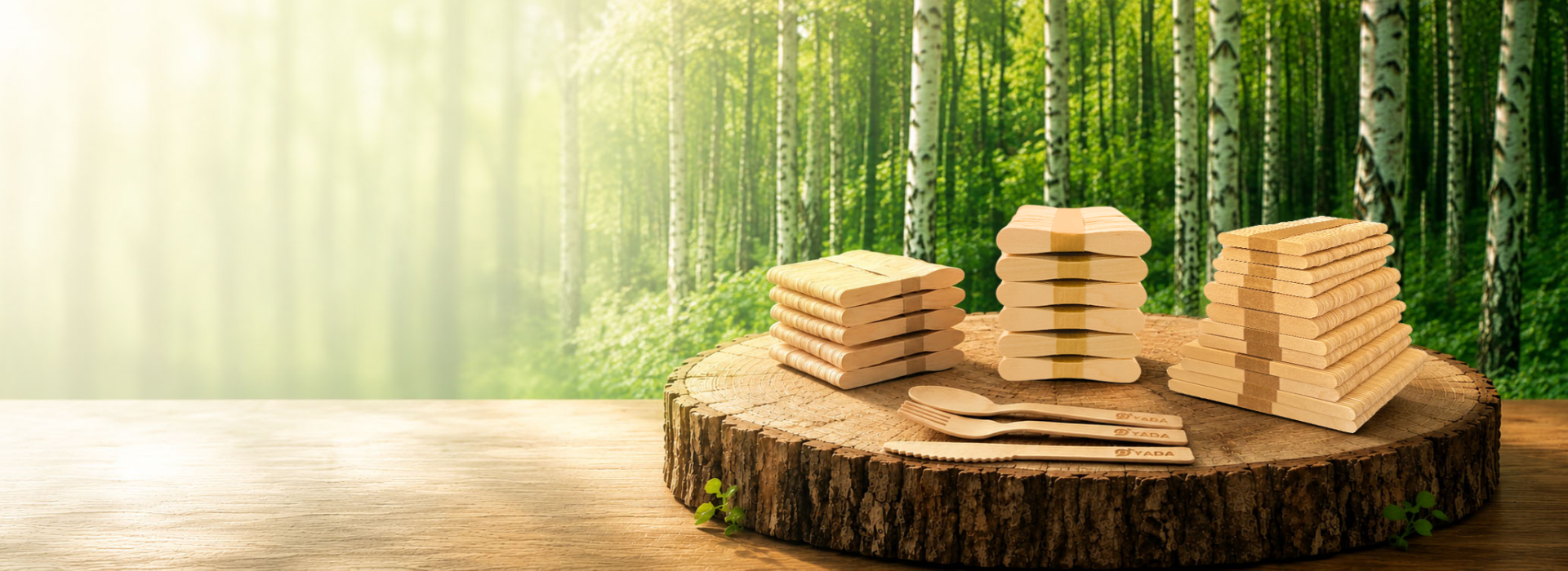 30+ Years of Excellence in Eco-Friendly Disposable Wood & Bamboo Products