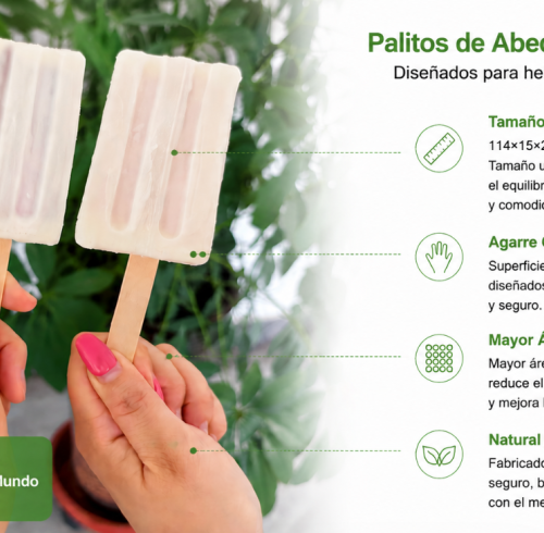 Del Origen al Paladar: Primer Lote de Palitos de Helado Llega desde Nuestra Fábrica Asociada