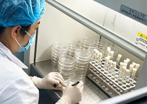 YADA quality inspection process for food-contact products