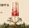 雪糕棒是用什么制成的?完整采购指南