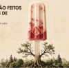 Do Que São Feitos os Palitos de Sorvete? Guia Completo de Compra