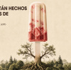 ¿De Qué Están Hechos los Palitos de Helado? Guía Completa de Compra