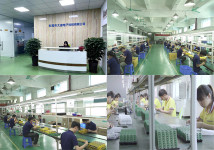 Dongguan Dadi Electronic Technology Co., Ltd