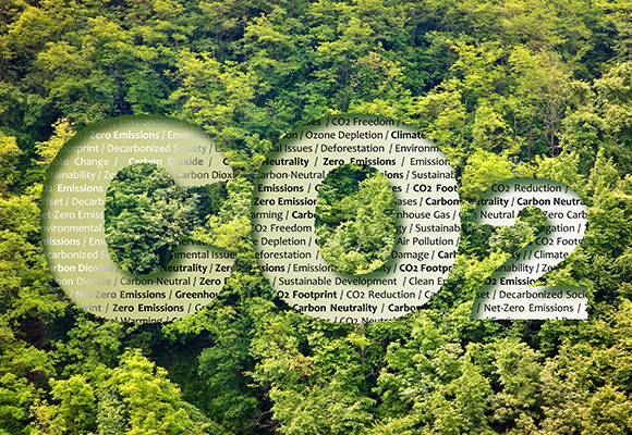 Achieve carbon neutrality