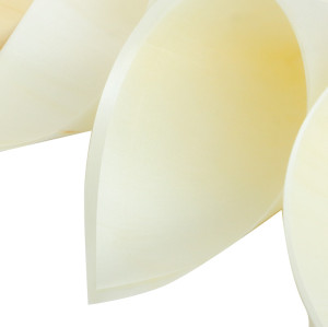 220mm Eco-Friendly Disposable Wooden Cones Wholesale Appetizer Finger Food Ice Cream Holder