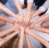 Building a Green Future: Team-Building Activities Strengthen Corporate Cohesion