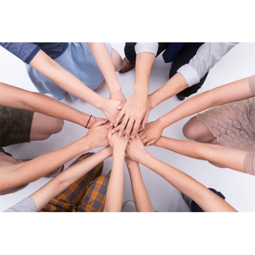 Building a Green Future: Team-Building Activities Strengthen Corporate Cohesion