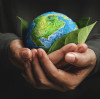 Upholding Our Green Mission: Supporting Community Environmental Projects