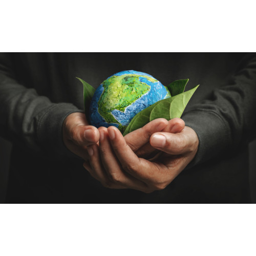 Upholding Our Green Mission: Supporting Community Environmental Projects