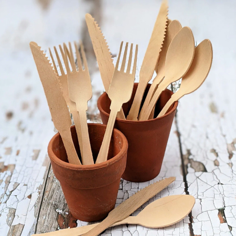 Disposable Wooden Cutlery vs Plastic Cutlery