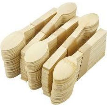 170mm Disposable Bamboo Spoon