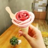 The Humble Wooden Ice Cream Spoon: A Tiny Tool for Mindful Eating