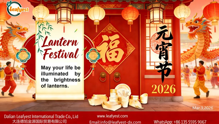 Happy Lantern Festival: Dalian Leafyest Celebrates Unity and New Beginnings