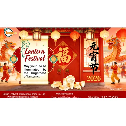 Happy Lantern Festival: Dalian Leafyest Celebrates Unity and New Beginnings