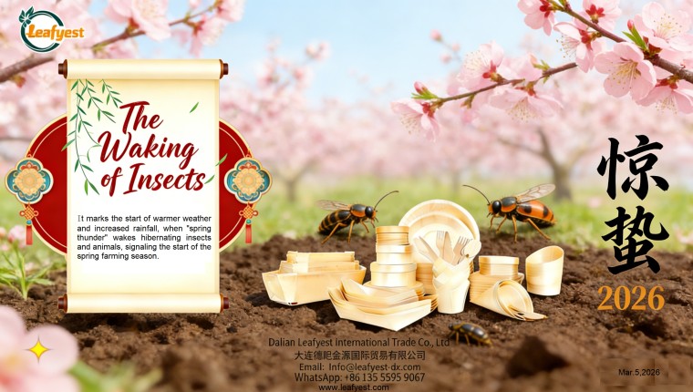 Jingzhe (Awakening of Insects): Embracing Vitality, Growing Together with Global Partners