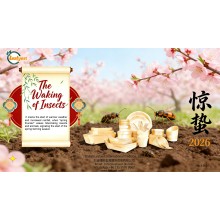 Jingzhe (Awakening of Insects): Embracing Vitality, Growing Together with Global Partners