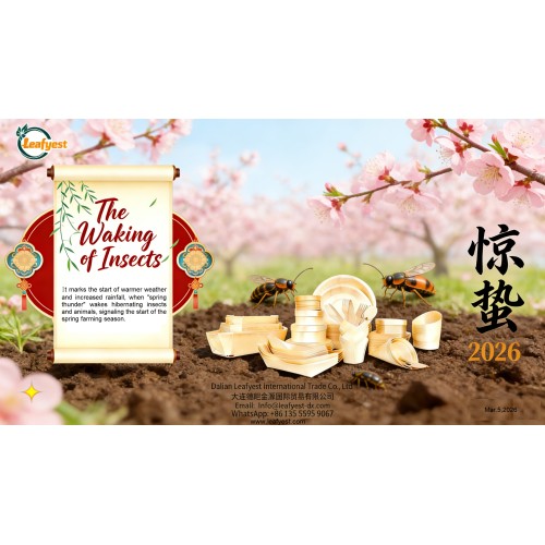 Jingzhe (Awakening of Insects): Embracing Vitality, Growing Together with Global Partners