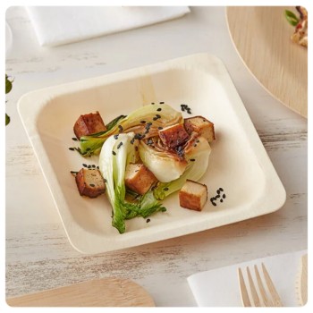 Square plate Eco-Friendly Disposable Wooden Plate