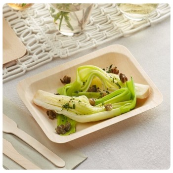 Rectangle plate Eco-Friendly Disposable Wooden Plate