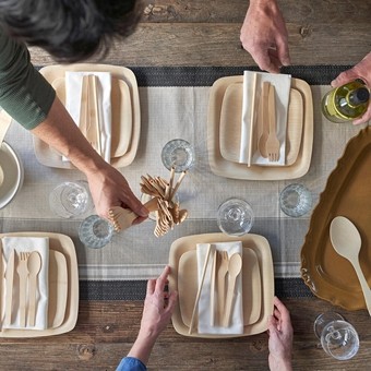 FSC Disposable Tableware: A Complete B2B Buyer's Guide to Responsible, Low-Risk Sourcing