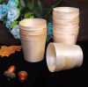 Disposable Wooden Cups vs. Plastic: Making the Right Choice for You