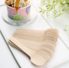 Key Features of Disposable Wooden Ice Cream Scoops: The Ultimate Guide by Leafyest