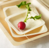 The Hidden Costs of Plastic Plates and How Disposable Wooden Plates Can Save You Money