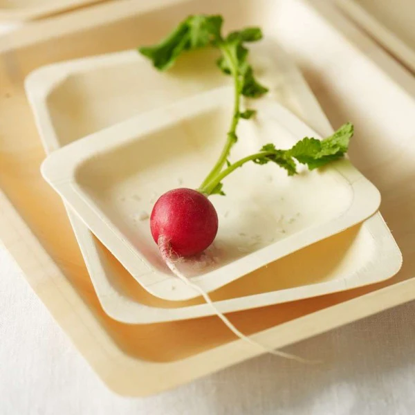 The Hidden Costs of Plastic Plates and How Disposable Wooden Plates Can Save You Money