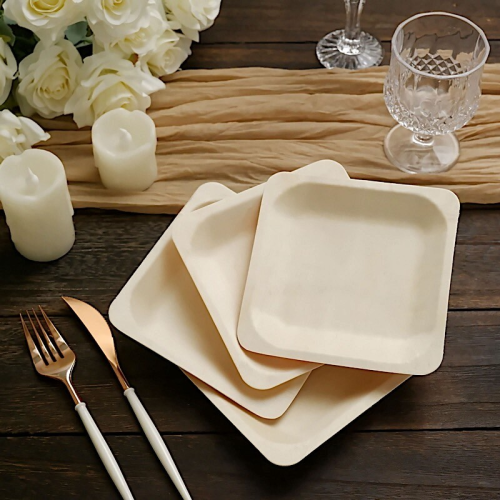 Ten Reasons Why Disposable Wooden Plates Are the Eco-Friendly Choice