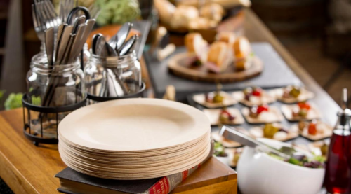 Medium round plate 2 Eco-Friendly Disposable Wooden Plate