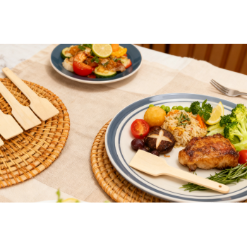 70mm Eco-Friendly Disposable Wooden Spoon