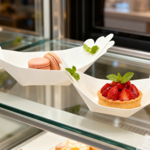 Disposable Birchwood Boat Plates