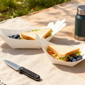 Disposable Birchwood Boat