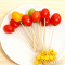 FSC Disposable Bamboo Skewers | Eco-Friendly Biodegradable Food Picks for BBQ & Catering