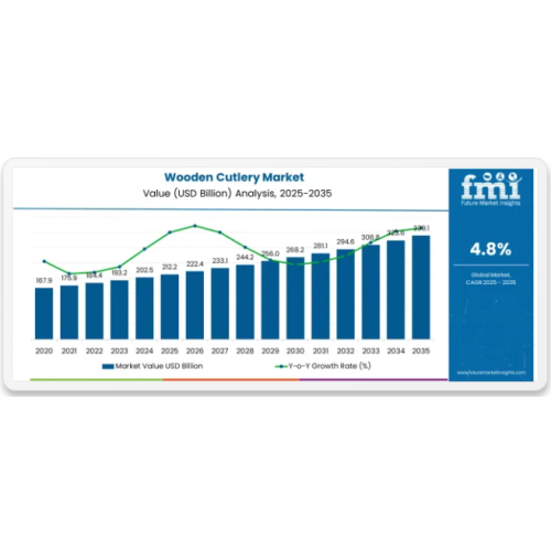 China’s Disposable Tableware Market: Rapid Growth & Material Shift